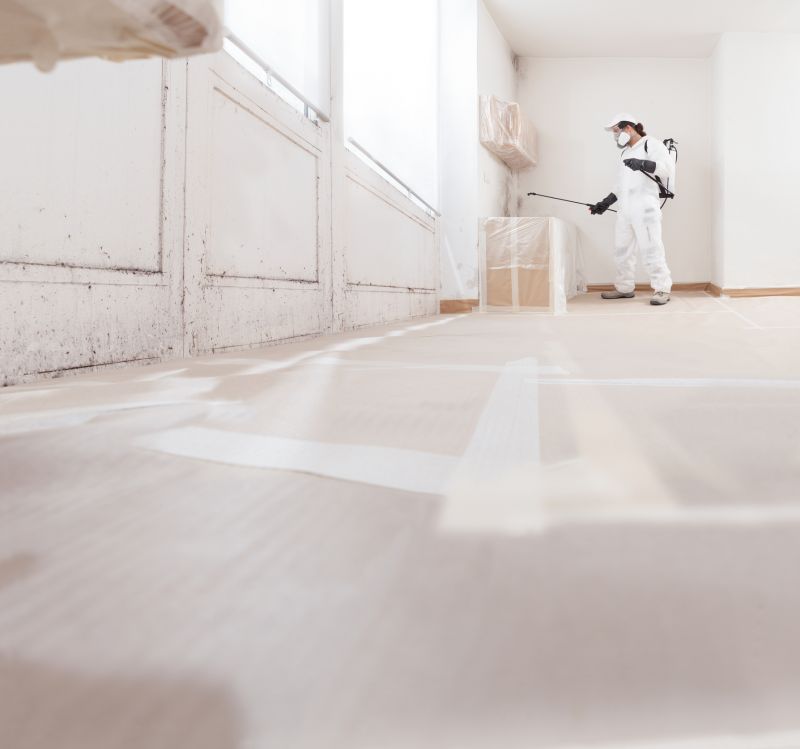 Mold Remediation Service in Broward County, FL