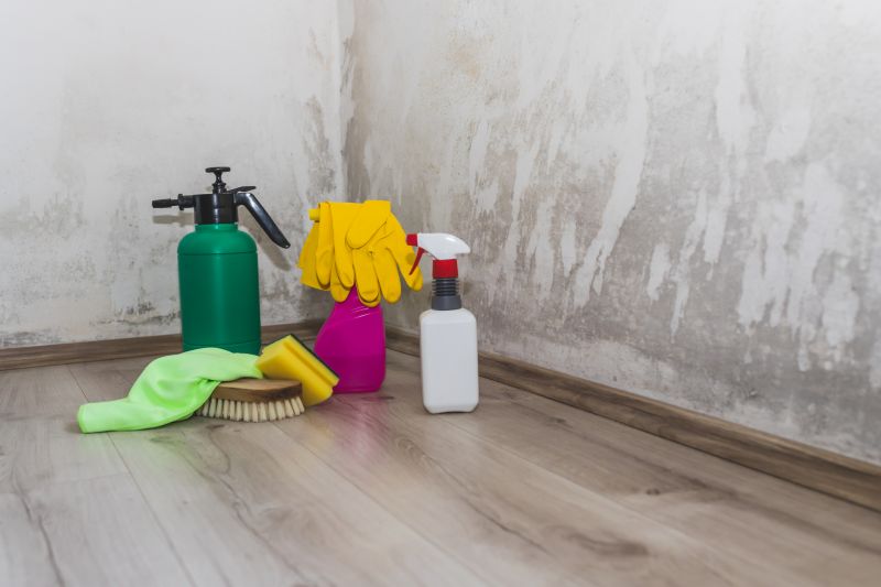 Mold Removal in Dallas, TX