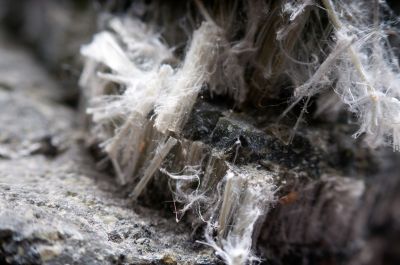 Asbestos Sample Collection