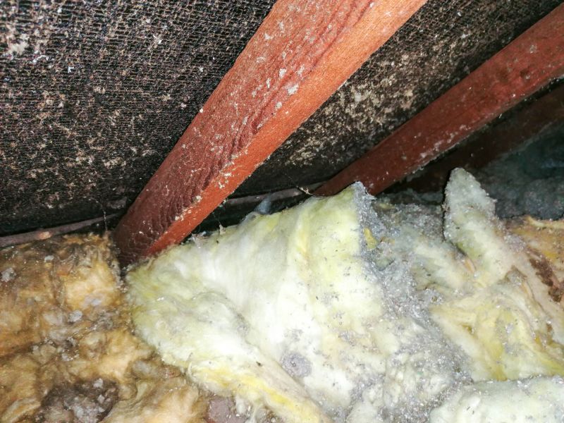 Asbestos Inspection Cost — Cost of Asbestos Inspection