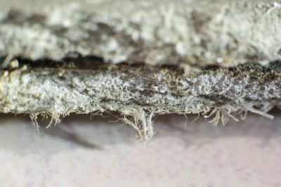 Basement Asbestos Removal in Old Bridge, NJ