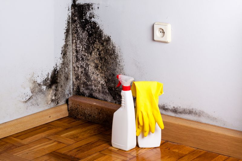 Black Mold Remediation in Frisco, TX