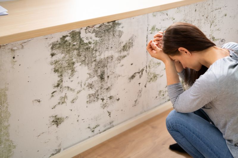 Mold Detection in Palm Beach County, FL