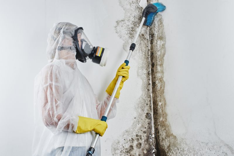 Mold Removal in Fort Worth, TX