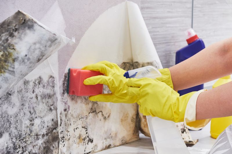 Mold Restoration in Dallas, TX