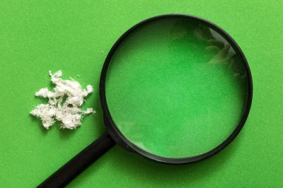 Environmental Testing Labs